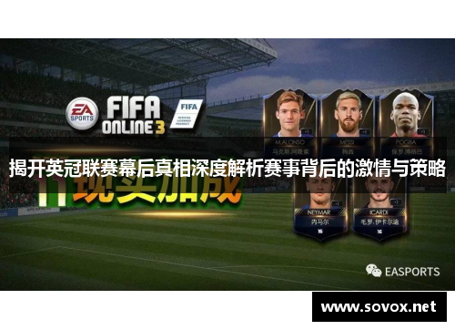 揭开英冠联赛幕后真相深度解析赛事背后的激情与策略